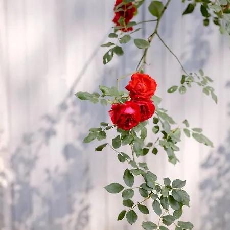 Chateau La Bruguiere