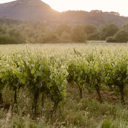 Chateau La Bruguiere Pensjonat 4*