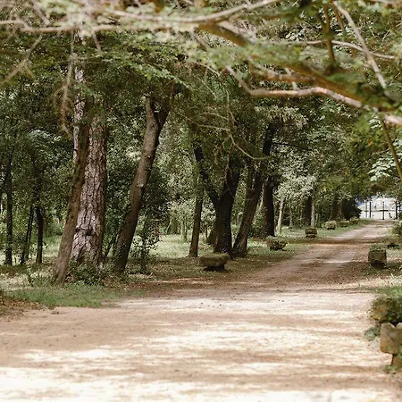 Chateau La Bruguiere بيت ضيافة 4*