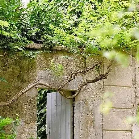 Chateau La Bruguiere 4* Tornac