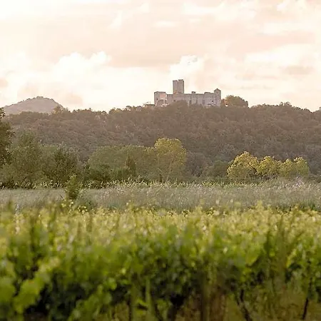 Chateau La Bruguiere 4* Tornac