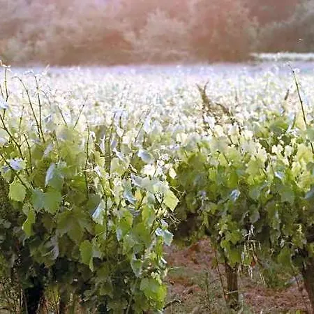 Château La Bruguière 4* Tornac